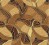 545-Gold 132-12