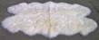 835-Skin Sheep 7001 №4
