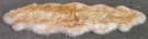 836-Skin Sheep 7011 №2