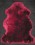 838-Skin Sheep 7006 №1