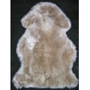 Skin Sheep 7007 №1